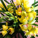 正月飾りの蘭の花を見て瑞々しい日々を送りたいと思いました。　　　・瑞々しき日々でありたし蘭の花(和良)