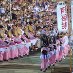 桟敷では二拍子のリズムに乗った有名連の阿波踊が人気でした。　　　・二拍子のリズムに乗りて阿波踊(和良)