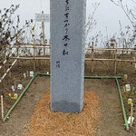 岩田公次さんの句碑は句碑守の方が青竹で垣を繕われていました。　　　　　・青竹で垣繕うて句碑清し(和良)