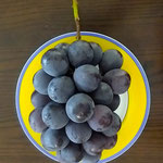 ショッピングモ—ルで形の良い物を選んで黒い葡萄を買いました。　　　・形良きものを選びて葡萄買ふ(和良)