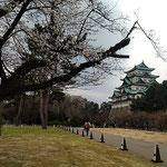 名古屋城もゆっくりと眺めて満開の桜も楽しんできました。　　　　　　・名古屋城見て満開の花も見て(和良)