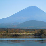 精進湖から眺望した富士です。紅葉した裾野が綺麗でした。　　　　　　　　・裾野まで野山の錦続く富士(和良)