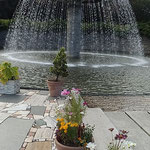 昭和記念公園では噴水もコスモスも綺麗で記念撮影する人がいました。・噴水もコスモスもまた美しく(和良)