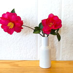 鳴門市のレストランでは壁に山茶花が一輪飾られていました。　　　　　・一輪の山茶花なれど凛として(和良)