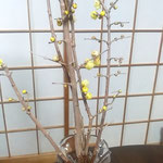 産直市の臘梅は香りがよくて香りをまるごと買って来ました。　　　　・臘梅を香りまるごと買って来し(和良)