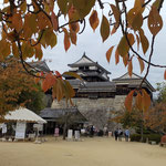 ロープウエイで登った松山城は桜紅葉が大変に綺麗でした。　　　・天守閣前まで桜紅葉かな(和良)