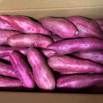 岡山の友人に徳島名産の甘藷である鳴門金時を送りました。　　　　 　　　・朝一に届けと鳴門金時を(和良)