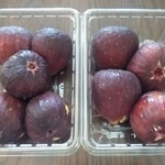 買ってきた無花果は十分に熟れていて今にも崩れそうでした。　　　・熟れに熟れ崩れさうなる無花果よ(和良)