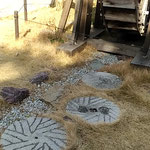 わら家の庭の飛石と水車に差す冬日は優しくやわらかでした。　　　　　・飛石と水車に冬日やはらかく(和良)