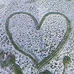 徳島の初雪に子供たちは大喜びで我が家の庭にもこんなアートが。　　・初雪に子の残したるアートかな(和良)