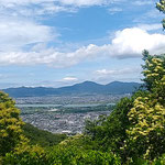 山頂から水木の花越しにゆったりと流れる吉野川が見えました。　　　　　・水木咲く眼下に長き吉野川(和良)