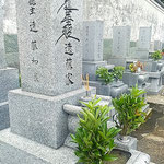 墓を綺麗に洗った後、樒を供えると墓も樒も瑞々しく見えました。　　　　　・洗ひたる墓に樒の瑞々し(和良)