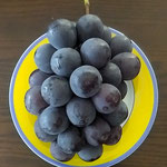 美味しい黒い葡萄はとても美しかったとつくづく思いました。　　　　　・美しきものを選びて葡萄買ふ(和良)