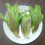 我が家で摘んだ蕗の薹は瑞々しく綺麗な緑色をしていました。　　・蕗の薹この美しき緑かな(和良)