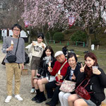 桜が満開になった名古屋城にはたくさんの人が来ていました。　　　　　・天守閣見てお花見も楽しまん(和良)