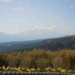 十国峠にケーブルカーで上りました。雲がありましたが富士山も見えました。　　　　　　　　・足下より鶯を聞く峠かな(和良)