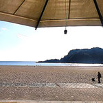 室戸岬へ行く途中で高知県の白浜海水浴場の海を見ました。　　　　　　　　・初春の南の海の優しかり(和良)