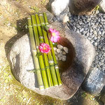 原田家住宅の玄関には落ち椿が水に浮かべてありました。　　　　　　　・落椿浮かべてありぬ玄関に(和良)