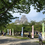 姫路市の姫路城では城内に歌舞伎の幟が立てられていました。　　　・薫風に歌舞伎の幟立つお城(和良)