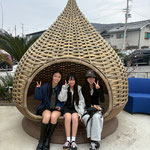 淡路島は玉葱の名産地で玉葱の形をした椅子が並んでいました。　　　　　・玉葱の形の椅子に春日指す(和良)