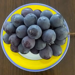 黒い葡萄はピオーネと言いましたが、とても美味しかったです。　　　・旨さうなものを選びて葡萄買ふ(和良)