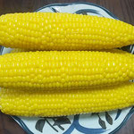 菅平高原で作った唐黍を送ってくれる友人は85歳と聞きました。　　　　　・八十五歳の作りし唐黍と(和良)