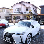 徳島に降った春の雪は太陽が出ると昼までに消えてしまいました。　　・太陽の解かしてくれし阿波の雪(和良)