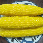 菅平高原で作った唐黍を送ってくれる友人は85歳と聞きました。　　　　　・八十五歳の作りし唐黍と(和良)