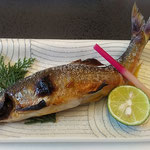 鮎の料理屋で出された塩焼の落鮎の尾は綺麗に跳ね上がっていました。　・塩焼の落鮎の尾の跳ね上がり(和良)