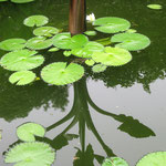 Botanischer Garten