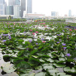 Marina Bay mit Financial District im Hintergrund