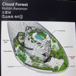 Gardens by the Bay, Cloud Forest