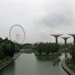 Gardens by the Bay, Supertree Grove & Flyer 