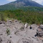 A Lava boulder in Sakurajima