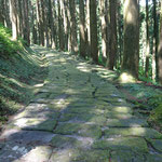 Tatsumonji-zaka in Kajiki,This was built in 1615.The road was then used for daimyo processions and transport of materials and played a vital role as a highway connecting Edo & Satsuma. 
