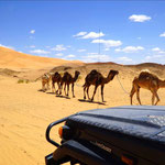 Geführte  Offroad Touren nach Marokko, mit der Offroad Akademie