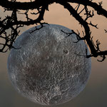 Der Mond vom Tollwood