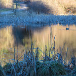 Blaue Stunde 3