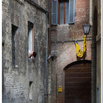 Fenstergucker