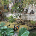 Sitz ich am Teich und denk an Venedig