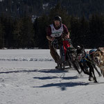 Schlittenhunderennen 2019- 1