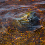 Wasserwellen 2