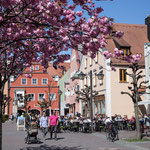 Am Marktplatz