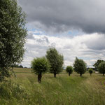 Regentag