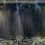 In der Seachtn