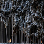 Winterwald