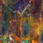 Blumenwiese abstrakt