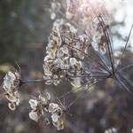 Herbst 2