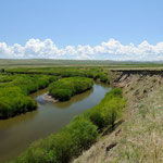 Am Orchon, dem längsten Fluss der Mongolei