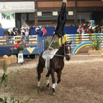 5 -LVWK  Darmstadt 2009